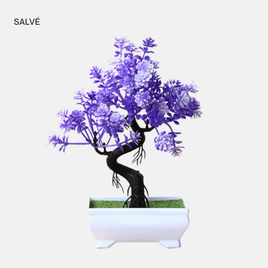 Bonsai Purple